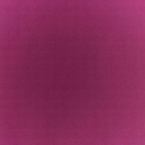 Meet your Posher, Dora