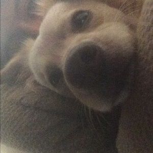 Meet your Posher, Jasmine