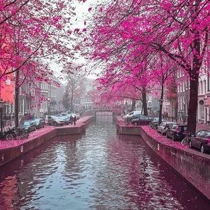 Meet your Posher, Fatima