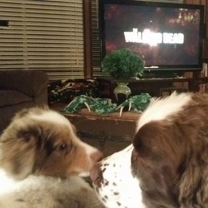 Meet your Posher, Deb