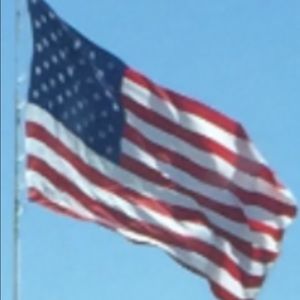 Meet your Posher, Elsa