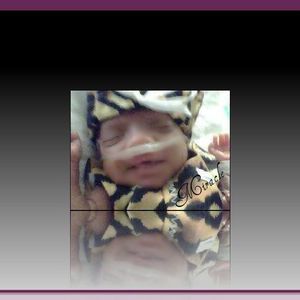 Meet your Posher, Arlene