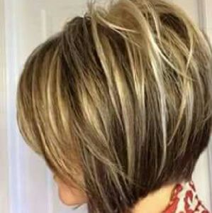 Meet your Posher, Francis