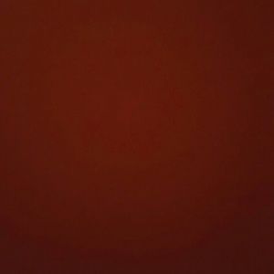 Meet your Posher, Srah