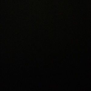 Meet your Posher, Cat