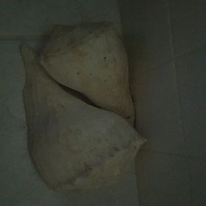 Meet your Posher, Marta