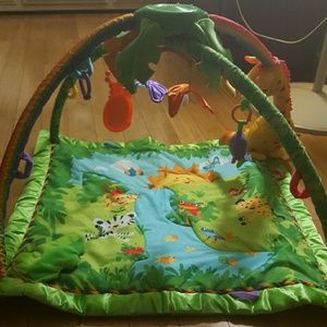 Baby jungle gym