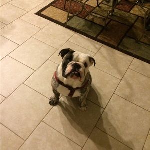 Meet your Posher, Dianna