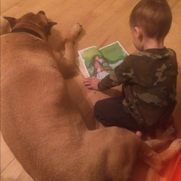 ❤️💗🐶🐕💗❤️ - Picture 2 of 4