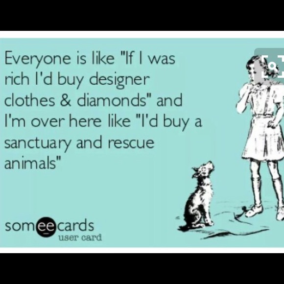 ❤️💗🐶🐕💗❤️ - Picture 4 of 4