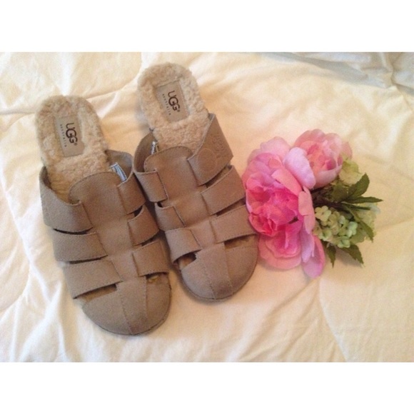 Uggs Cloggs