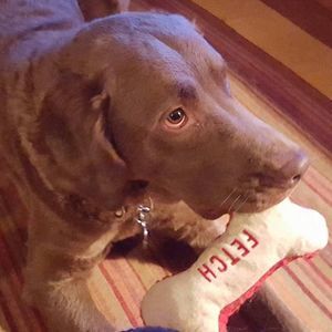 Meet your Posher, Nancy