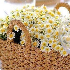 Meet your Posher, Teresa