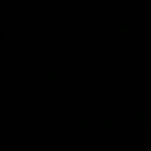 Meet your Posher, Tenisha