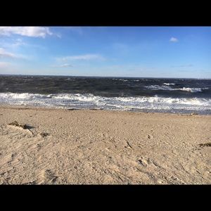 Meet your Posher, Betsy