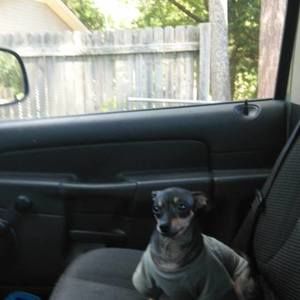 Meet your Posher, Jackey