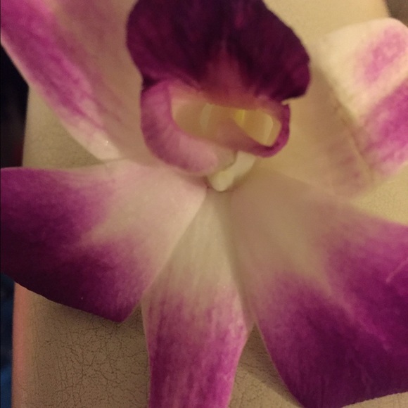 Meet your Posher, Taja