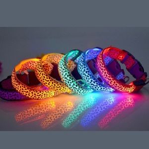 Light up dog collar in S,M,L, XL