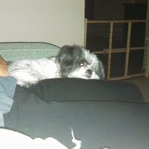 Meet your Posher, Jamie