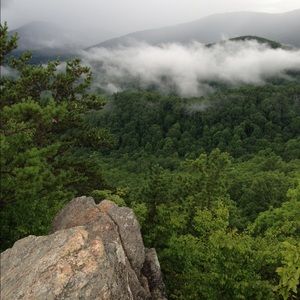 Meet your Posher, Shelley