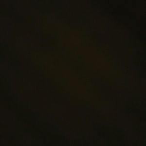 Meet your Posher, Simone