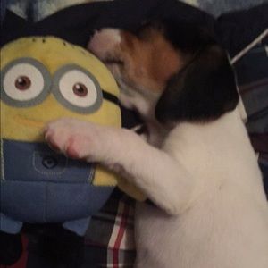 Meet your Posher, Lily