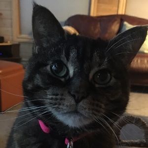 Meet your Posher, Cynthia