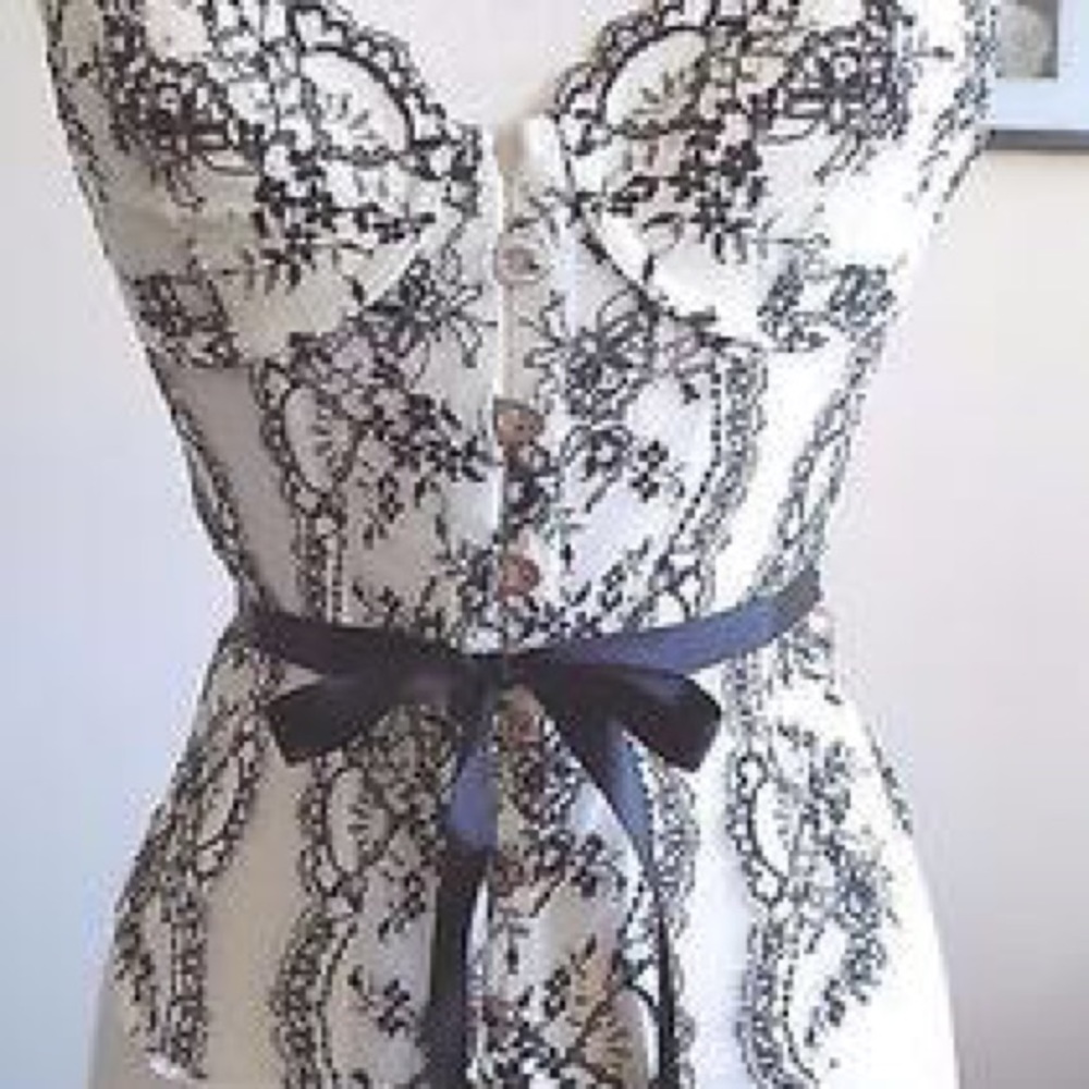 Victoria's Secret corset/bodice