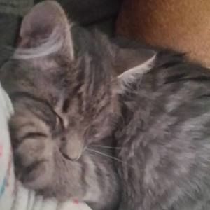 Meet your Posher, Bonnie