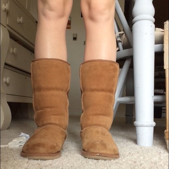 UGG Shoes - Classic Tall Chesnut Uggs