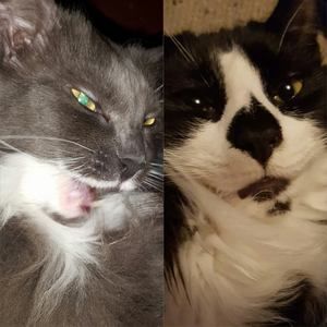 Meet your Posher, Tracey