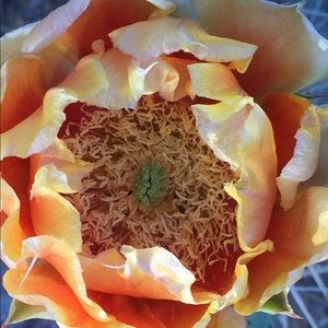 Meet your Posher, Sabrina