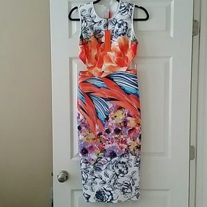 Clover Canyon Dress