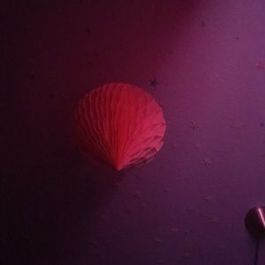 Meet your Posher, Juliet