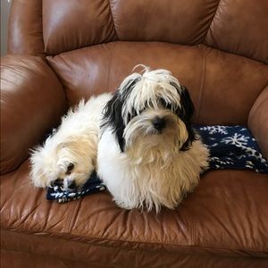 Meet your Posher, Pamela