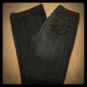 Express EVA Fit and Flare Sexy Denim Jeans