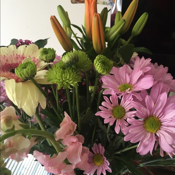 Meet your Posher, Mona