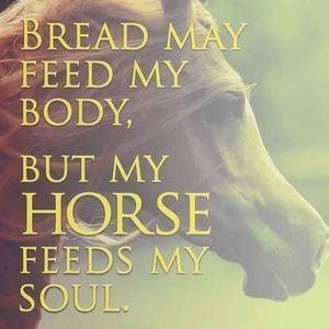 Meet your Posher, Jesse