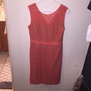 BCBG Alice Lace Sheath Dress in Coral