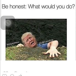 Meet your Posher, Nathan