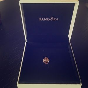 Galaxy, Pandora rose & clear CZ