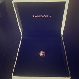 In the spotlight, Pandora rose & clear CZ