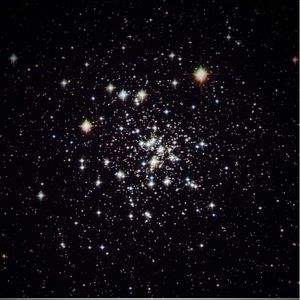 Meet your Posher, Sarah jane