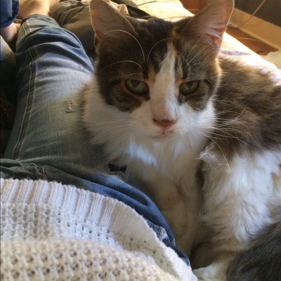 Meet your Posher, Grace - Picture 2 of 3