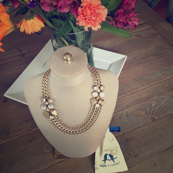 Chloe and Isabel geovista statement necklace