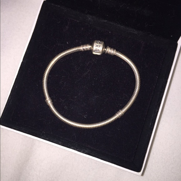 Silver Pandora Bracelet
