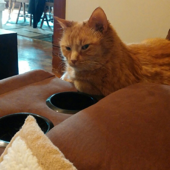 My new reason to sell on posh