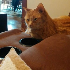 My new reason to sell on posh