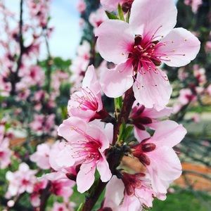 Meet your Posher, Salina