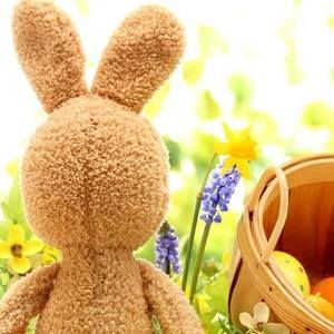 Meet your Posher, Lois